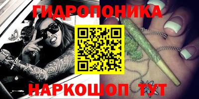 шишки Бузулук