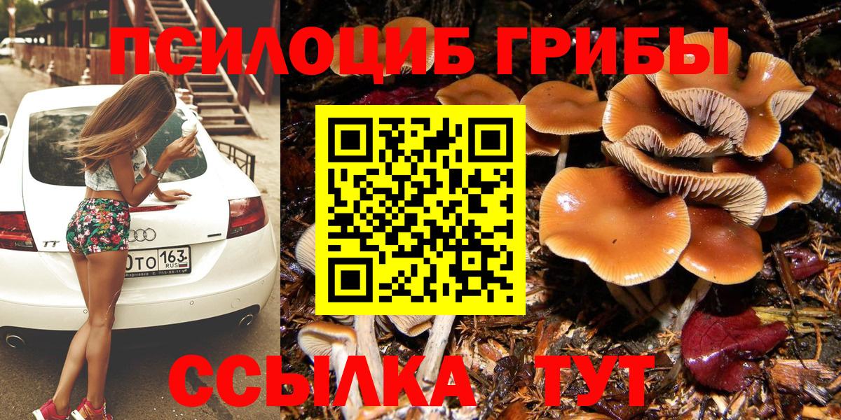 Псилоцибиновые грибы мицелий Черкесск